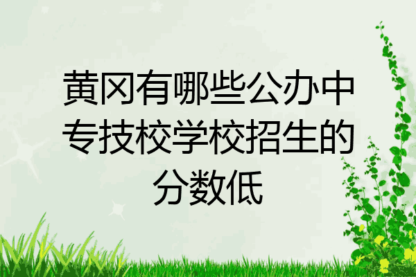 黄冈有哪些公办中专技校学校招生的分数低
