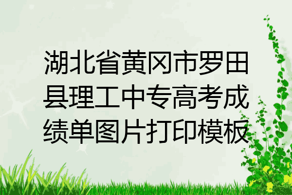 湖北省黄冈市罗田县理工中专高考成绩单图片打印模板