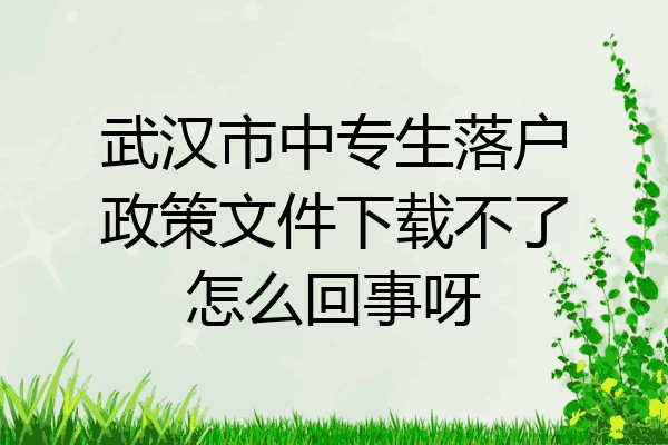 武汉市中专生落户政策文件下载不了怎么回事呀
