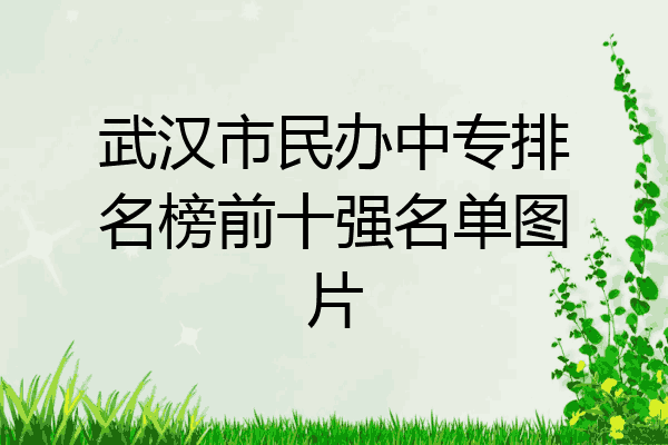 武汉市民办中专排名榜前十强名单图片