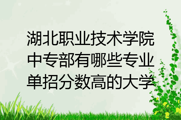 湖北职业技术学院中专部有哪些专业单招分数高的大学