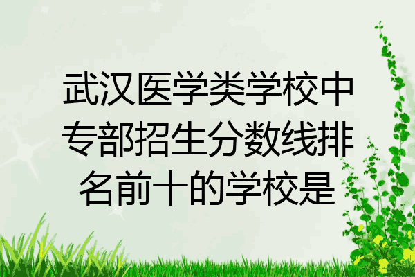 武汉医学类学校中专部招生分数线排名前十的学校是