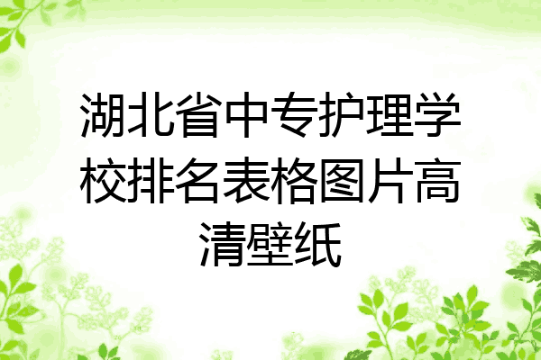 湖北省中专护理学校排名表格图片高清壁纸