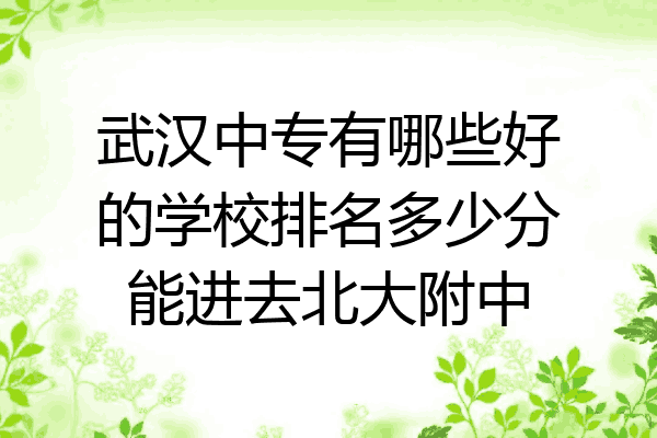 武汉中专有哪些好的学校排名多少分能进去北大附中