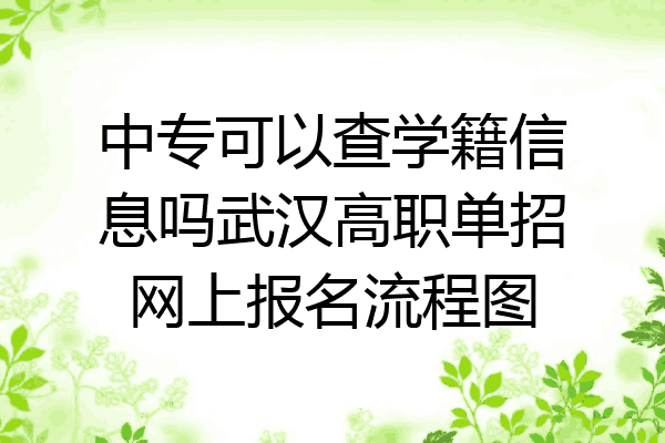 中专可以查学籍信息吗武汉高职单招网上报名流程图