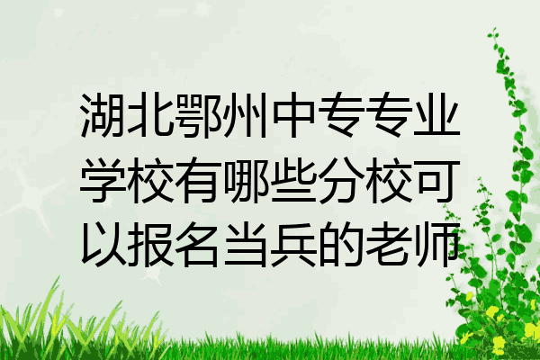湖北鄂州中专专业学校有哪些分校可以报名当兵的老师