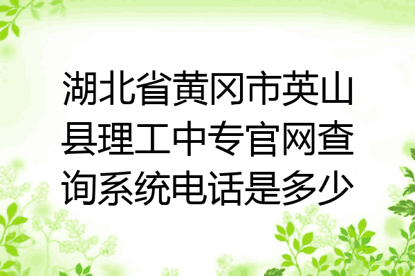 湖北省黄冈市英山县理工中专官网查询系统电话是多少
