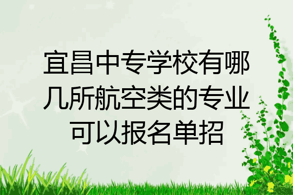 宜昌中专学校有哪几所航空类的专业可以报名单招