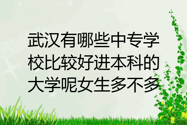武汉有哪些中专学校比较好进本科的大学呢女生多不多