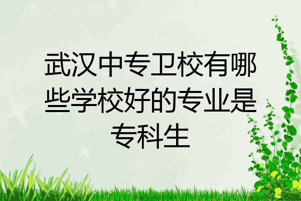 武汉中专卫校有哪些学校好的专业是专科生