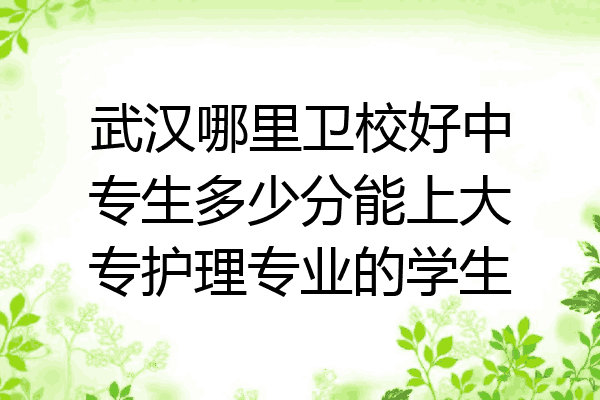 武汉哪里卫校好中专生多少分能上大专护理专业的学生
