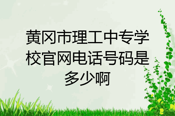 黄冈市理工中专学校官网电话号码是多少啊