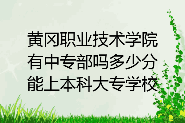 黄冈职业技术学院有中专部吗多少分能上本科大专学校