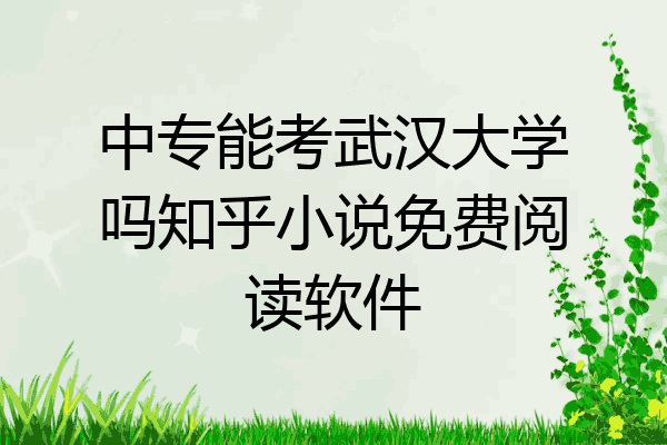 中专能考武汉大学吗知乎小说免费阅读软件
