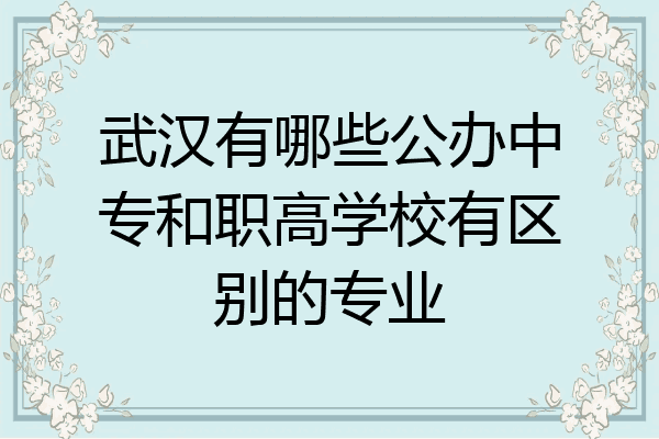 武汉有哪些公办中专和职高学校有区别的专业