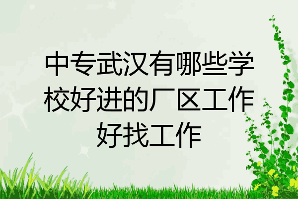 中专武汉有哪些学校好进的厂区工作好找工作