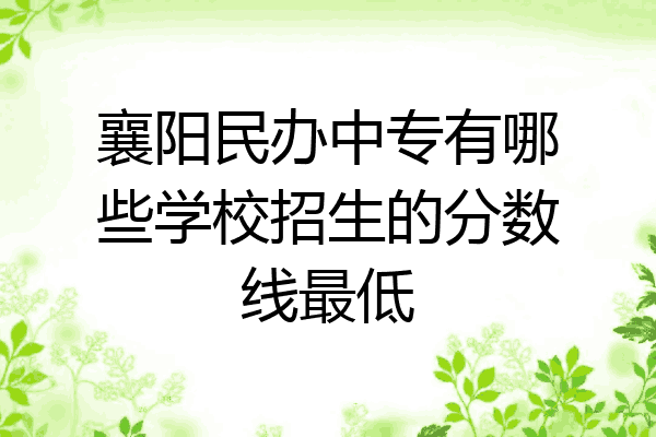襄阳民办中专有哪些学校招生的分数线最低
