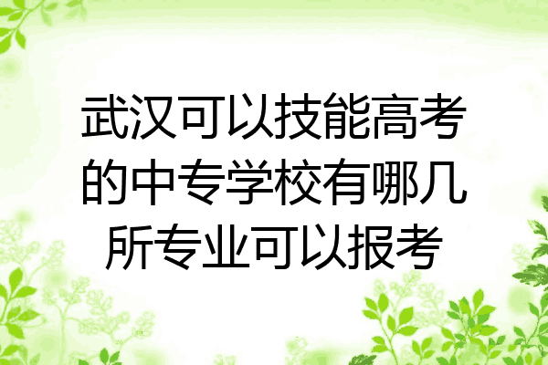 武汉可以技能高考的中专学校有哪几所专业可以报考