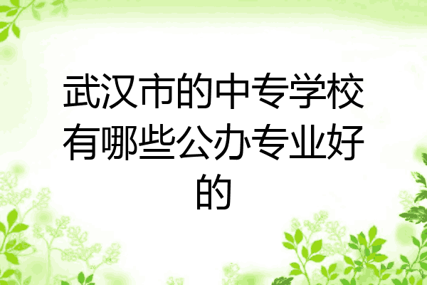 武汉市的中专学校有哪些公办专业好的