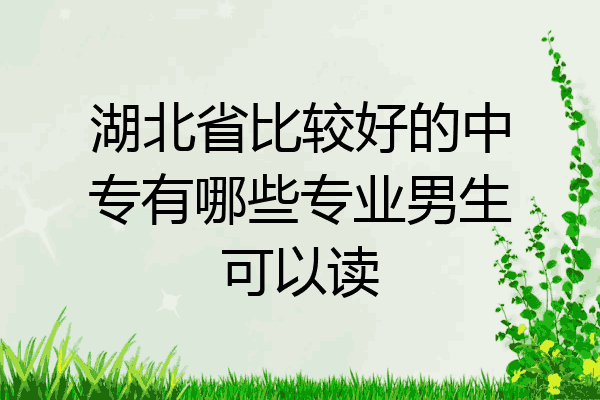 湖北省比较好的中专有哪些专业男生可以读