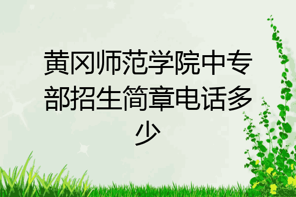 黄冈师范学院中专部招生简章电话多少