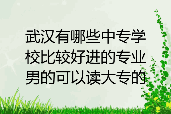 武汉有哪些中专学校比较好进的专业男的可以读大专的