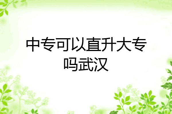 中专可以直升大专吗武汉