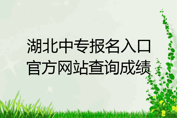 湖北中专报名入口官方网站查询成绩