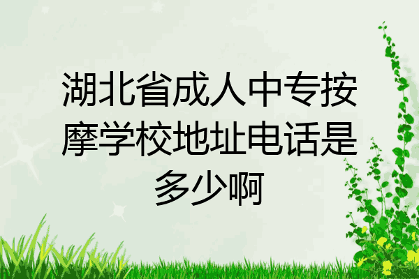 湖北省成人中专按摩学校地址电话是多少啊