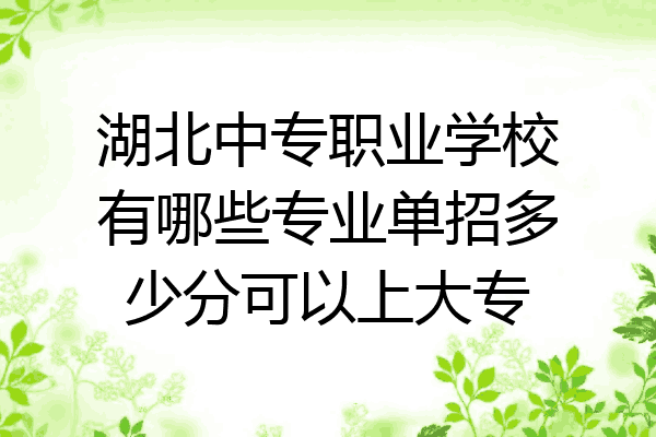 湖北中专职业学校有哪些专业单招多少分可以上大专