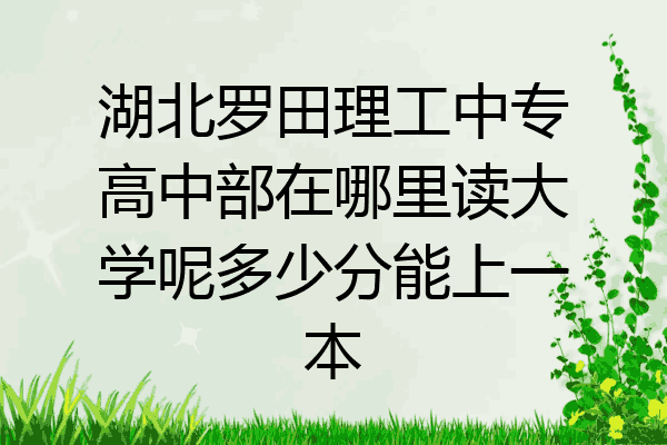 湖北罗田理工中专高中部在哪里读大学呢多少分能上一本