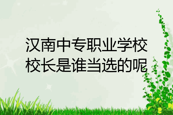 汉南中专职业学校校长是谁当选的呢