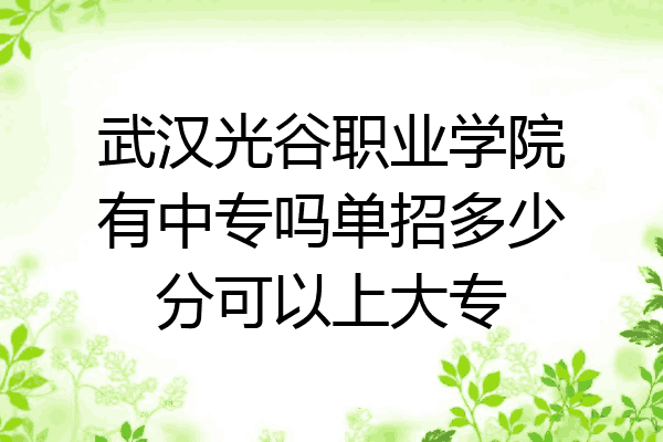 武汉光谷职业学院有中专吗单招多少分可以上大专