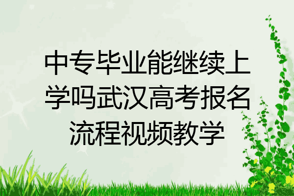中专毕业能继续上学吗武汉高考报名流程视频教学