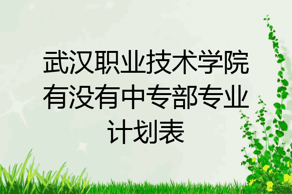 武汉职业技术学院有没有中专部专业计划表