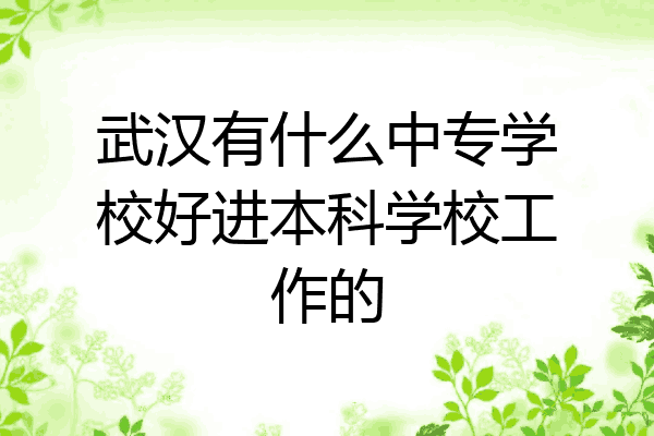 武汉有什么中专学校好进本科学校工作的