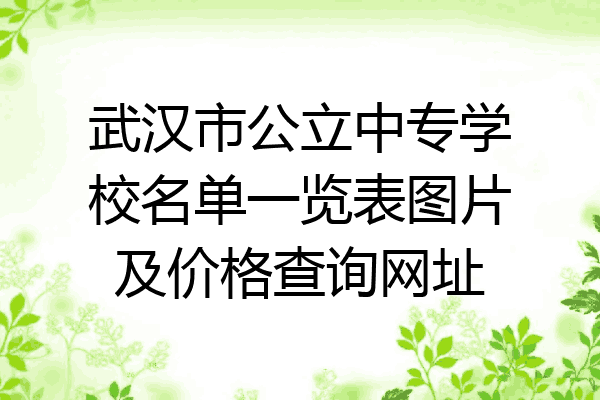 武汉市公立中专学校名单一览表图片及价格查询网址