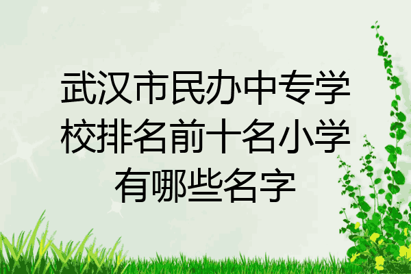 武汉市民办中专学校排名前十名小学有哪些名字