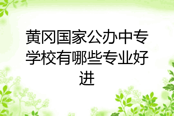 黄冈国家公办中专学校有哪些专业好进