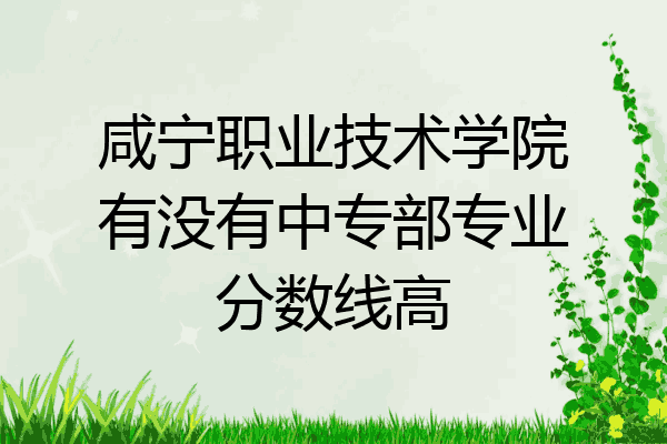 咸宁职业技术学院有没有中专部专业分数线高
