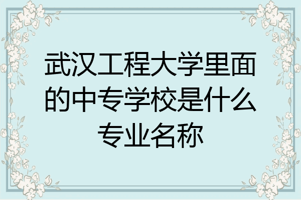 武汉工程大学里面的中专学校是什么专业名称