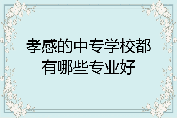 孝感的中专学校都有哪些专业好