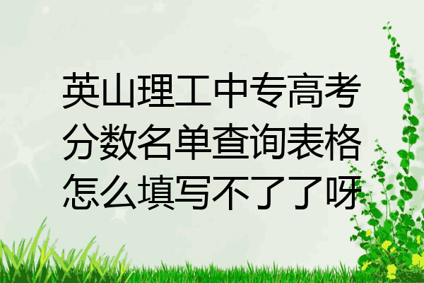 英山理工中专高考分数名单查询表格怎么填写不了了呀