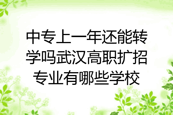 中专上一年还能转学吗武汉高职扩招专业有哪些学校