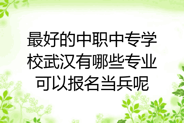 最好的中职中专学校武汉有哪些专业可以报名当兵呢