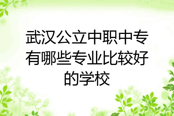 武汉公立中职中专有哪些专业比较好的学校