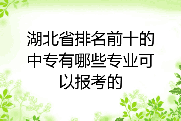 湖北省排名前十的中专有哪些专业可以报考的