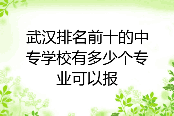 武汉排名前十的中专学校有多少个专业可以报