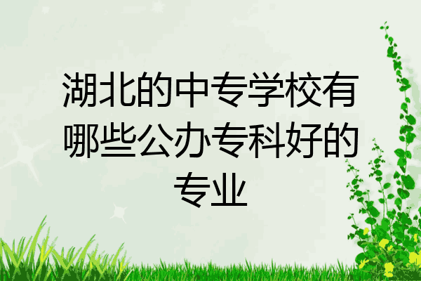 湖北的中专学校有哪些公办专科好的专业