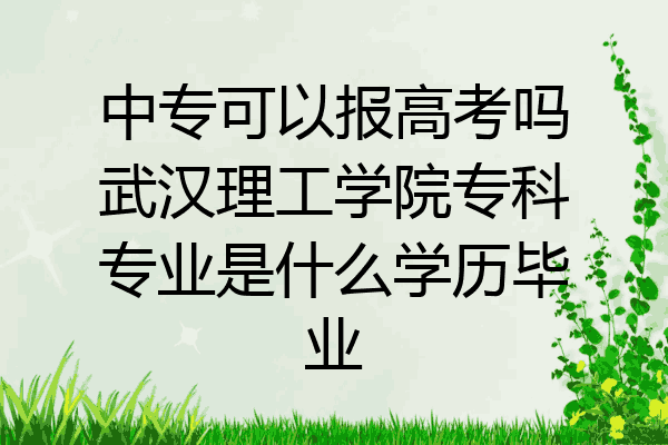 中专可以报高考吗武汉理工学院专科专业是什么学历毕业